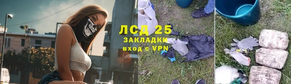 шишки Белоозёрский
