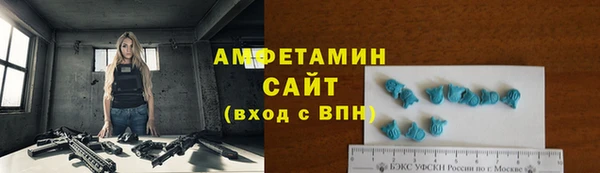 шишки Белоозёрский