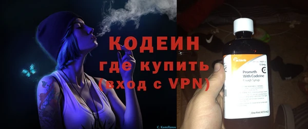 шишки Белоозёрский