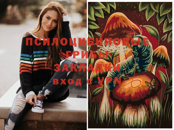 шишки Белоозёрский