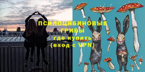 молекула духа Беломорск