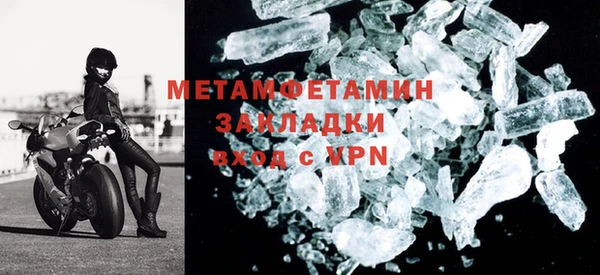 шишки Белоозёрский