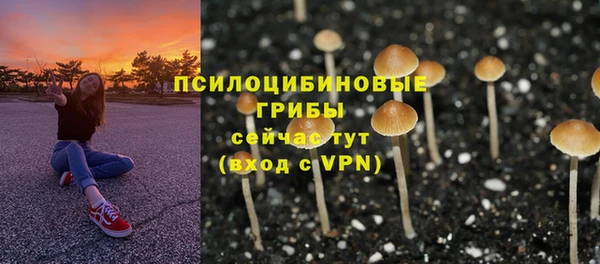молекула духа Беломорск
