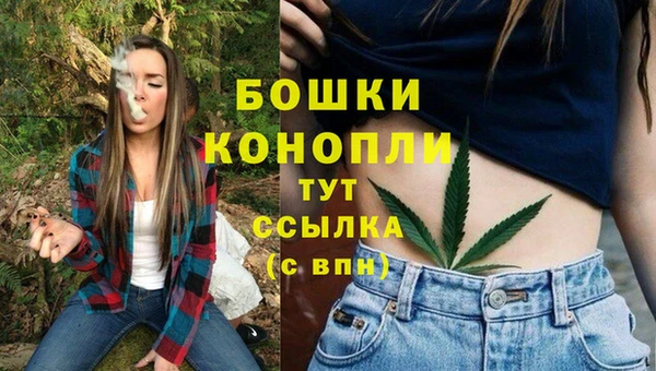 круглые Белокуриха