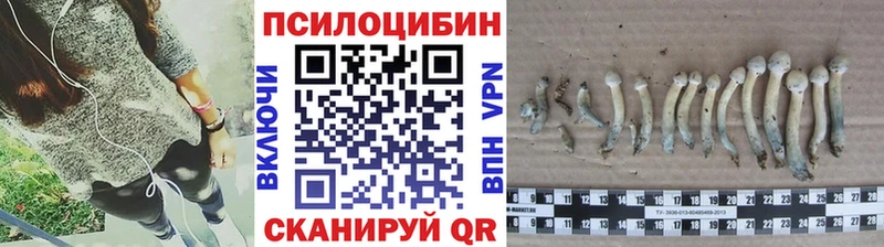 Псилоцибиновые грибы Psilocybine cubensis  Купить закладки  Краснокамск 